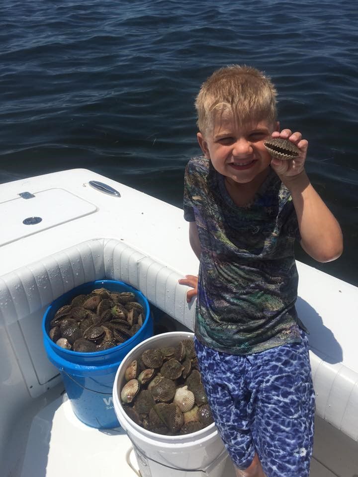 Little boy enjoying scalloping